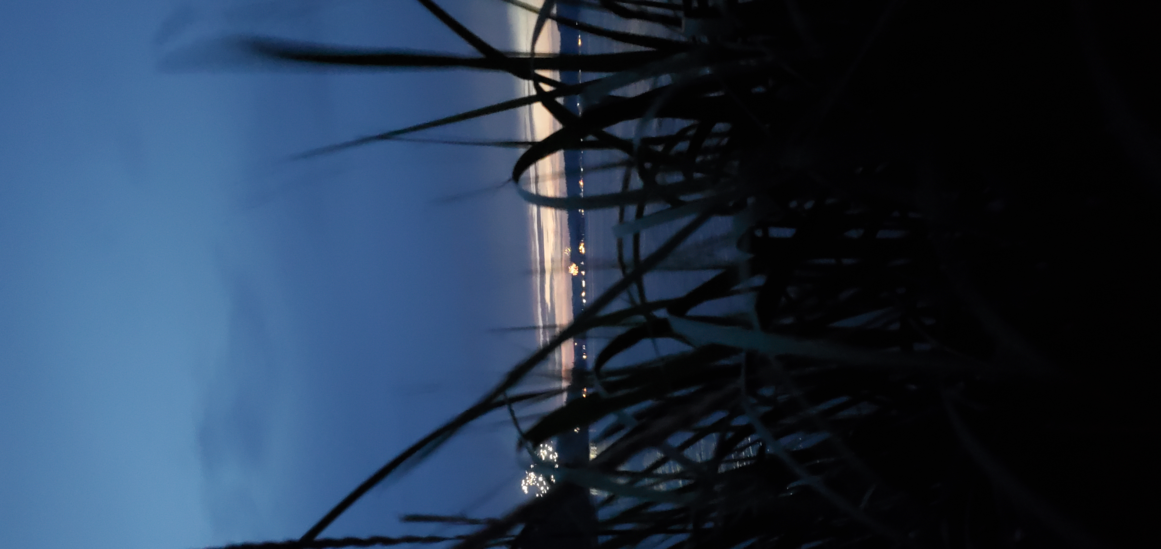 View of mountains from between stalks of tall grass at dusk.